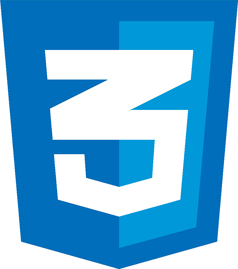 CSS logo